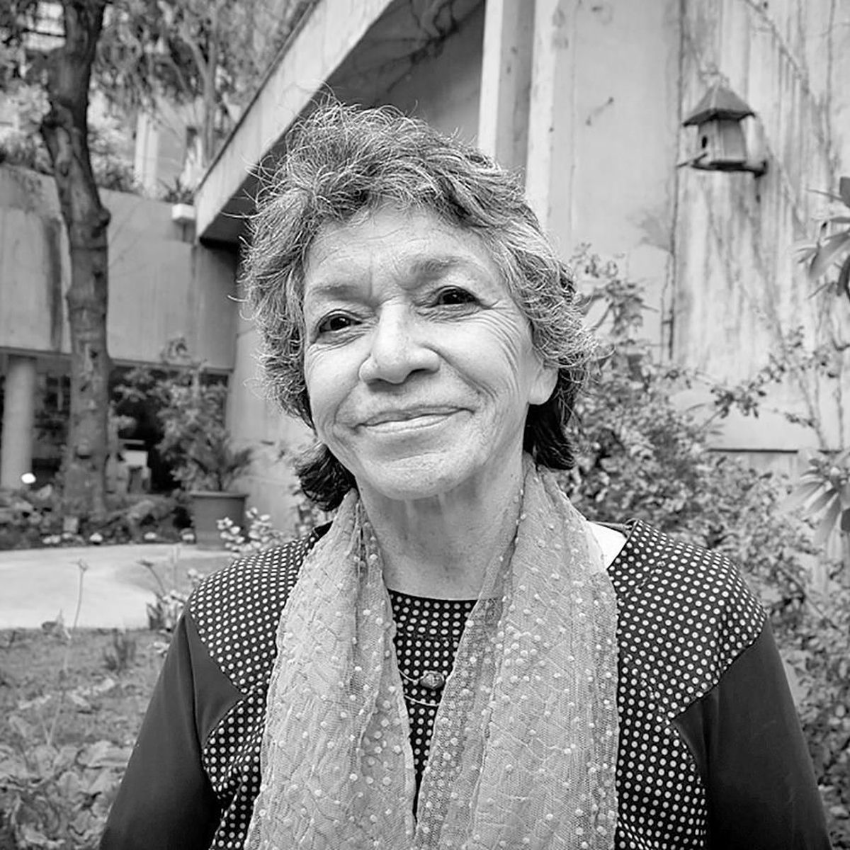 Isabel Parra