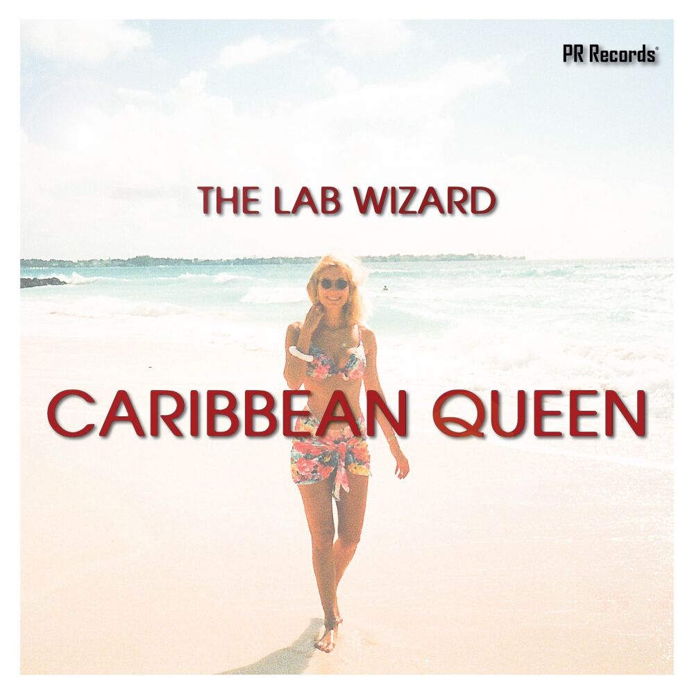 Picture of The Lab Wizard