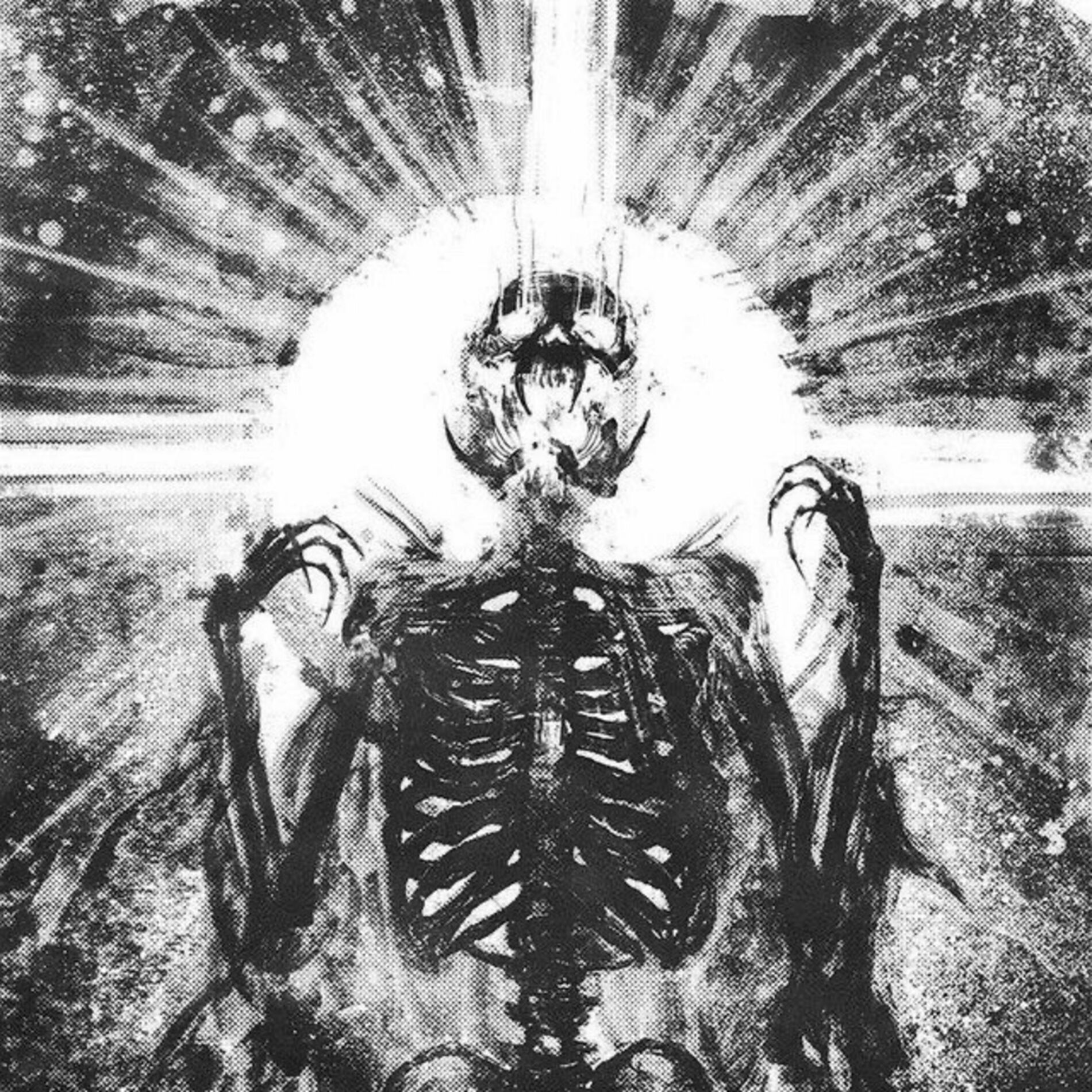 Artist picture of XigN