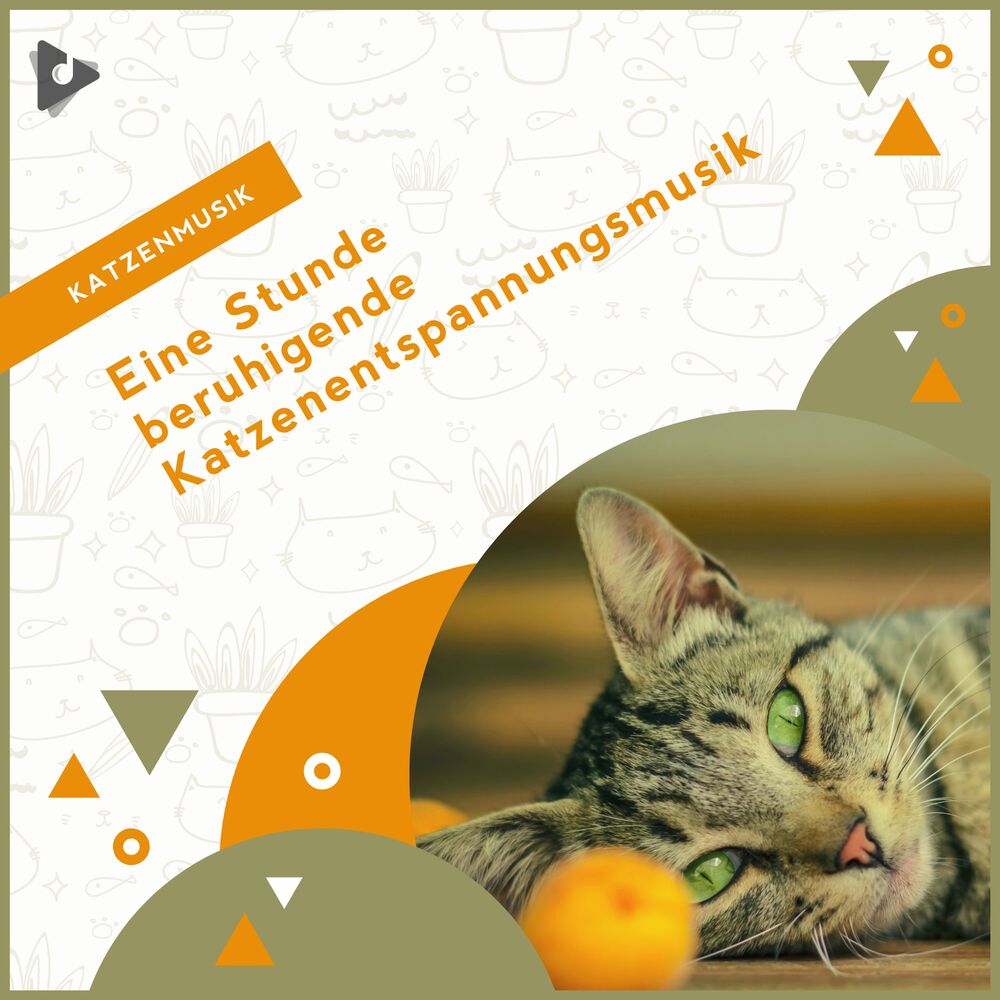 Picture of Katzenmusik