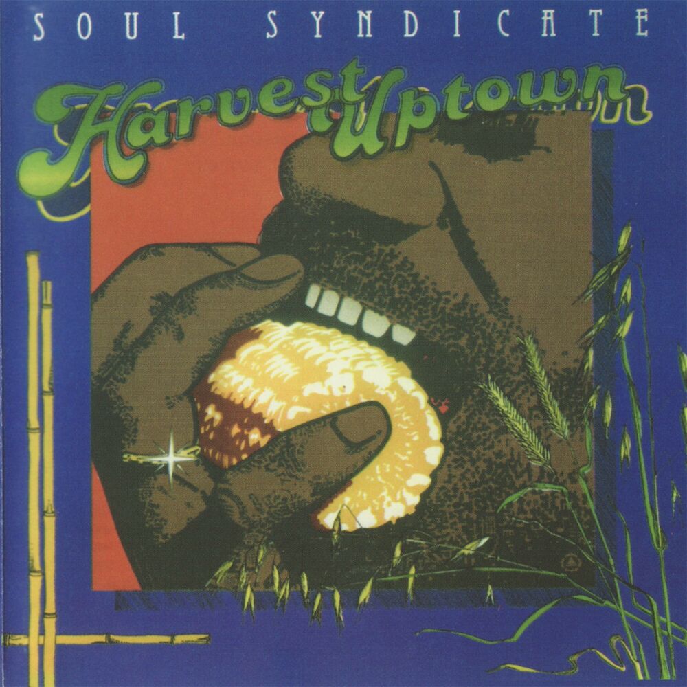 Picture of Soul Syndicate