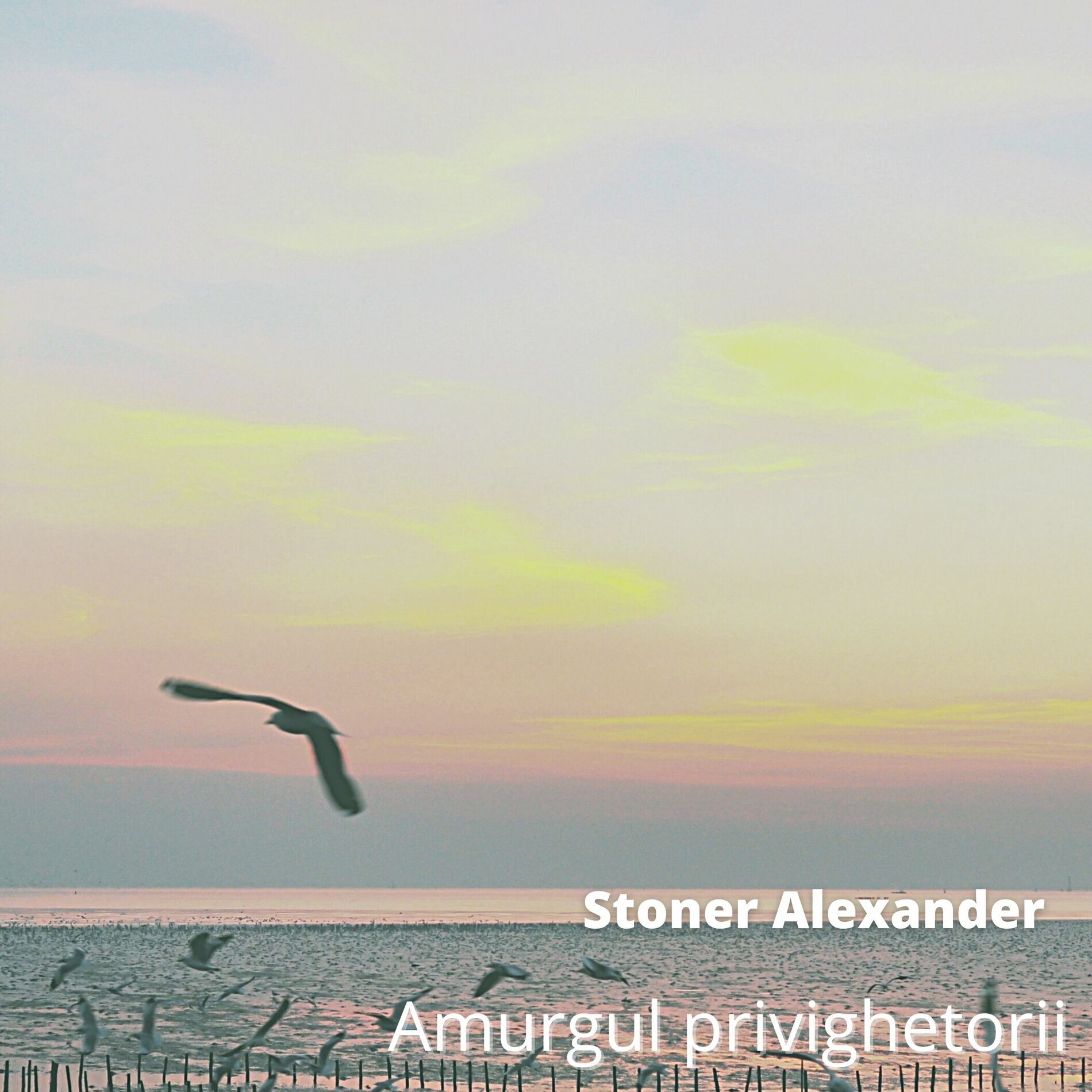 Stone Alexander