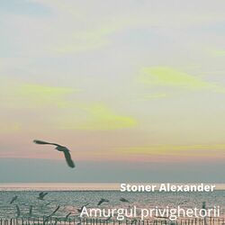 Picture of Stone Alexander