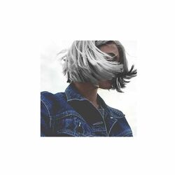 Picture of Niteboi