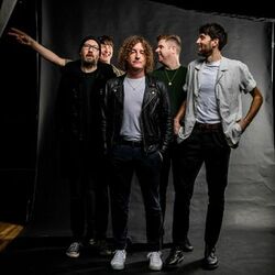 Picture of The Pigeon Detectives