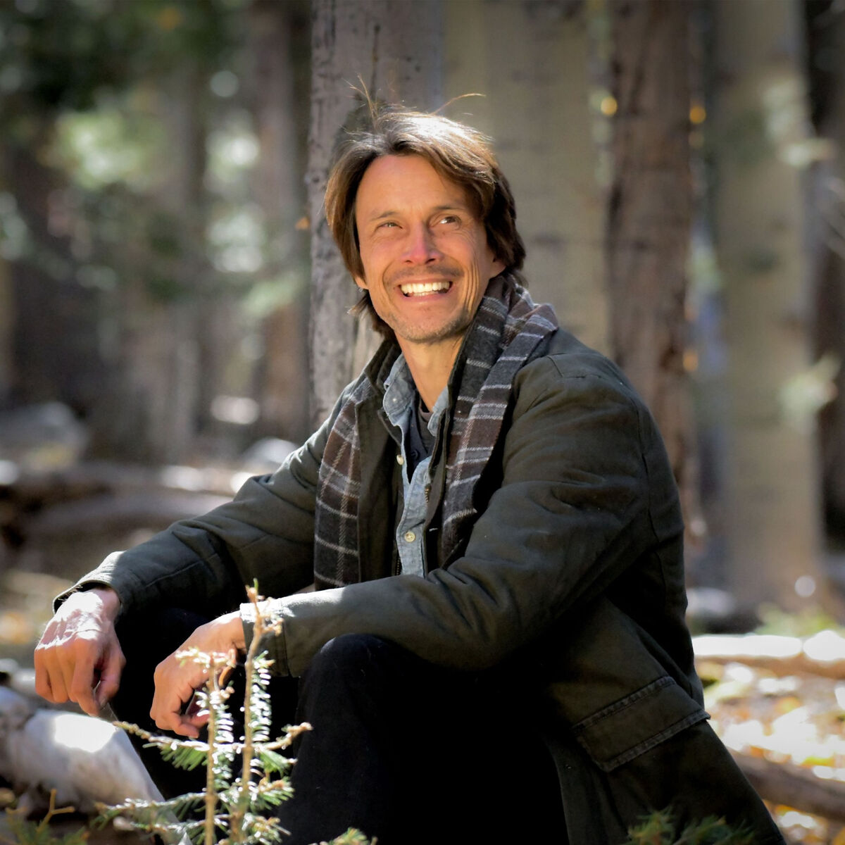 Artist picture of Tim Janis