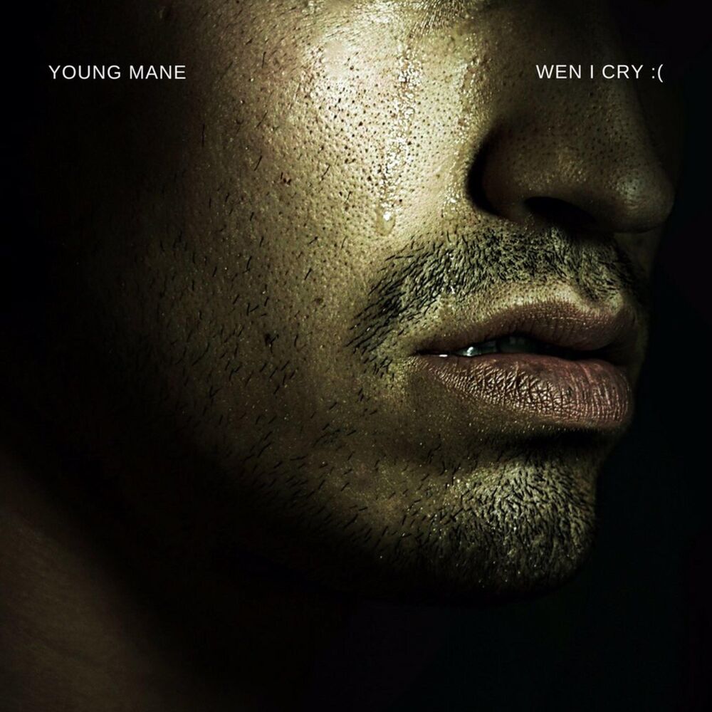 Picture of Young Mane