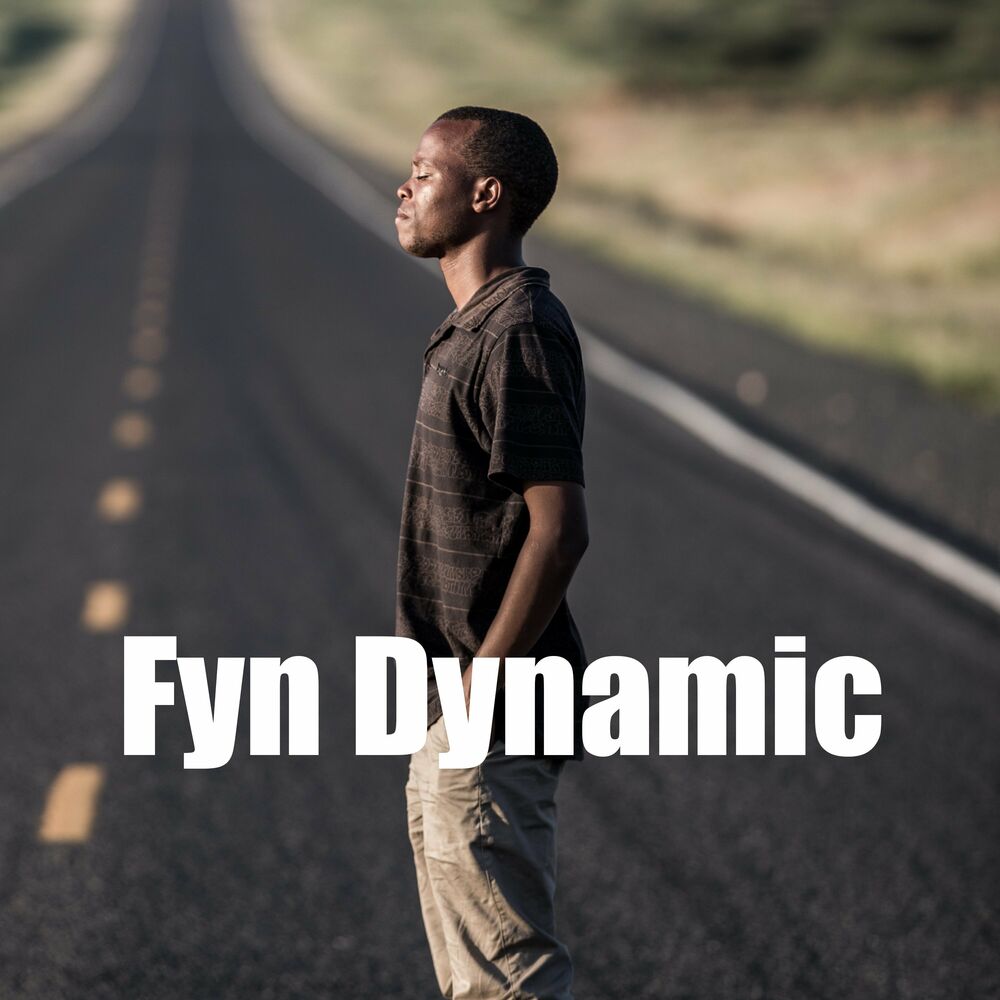 Picture of Fyn Dynamic