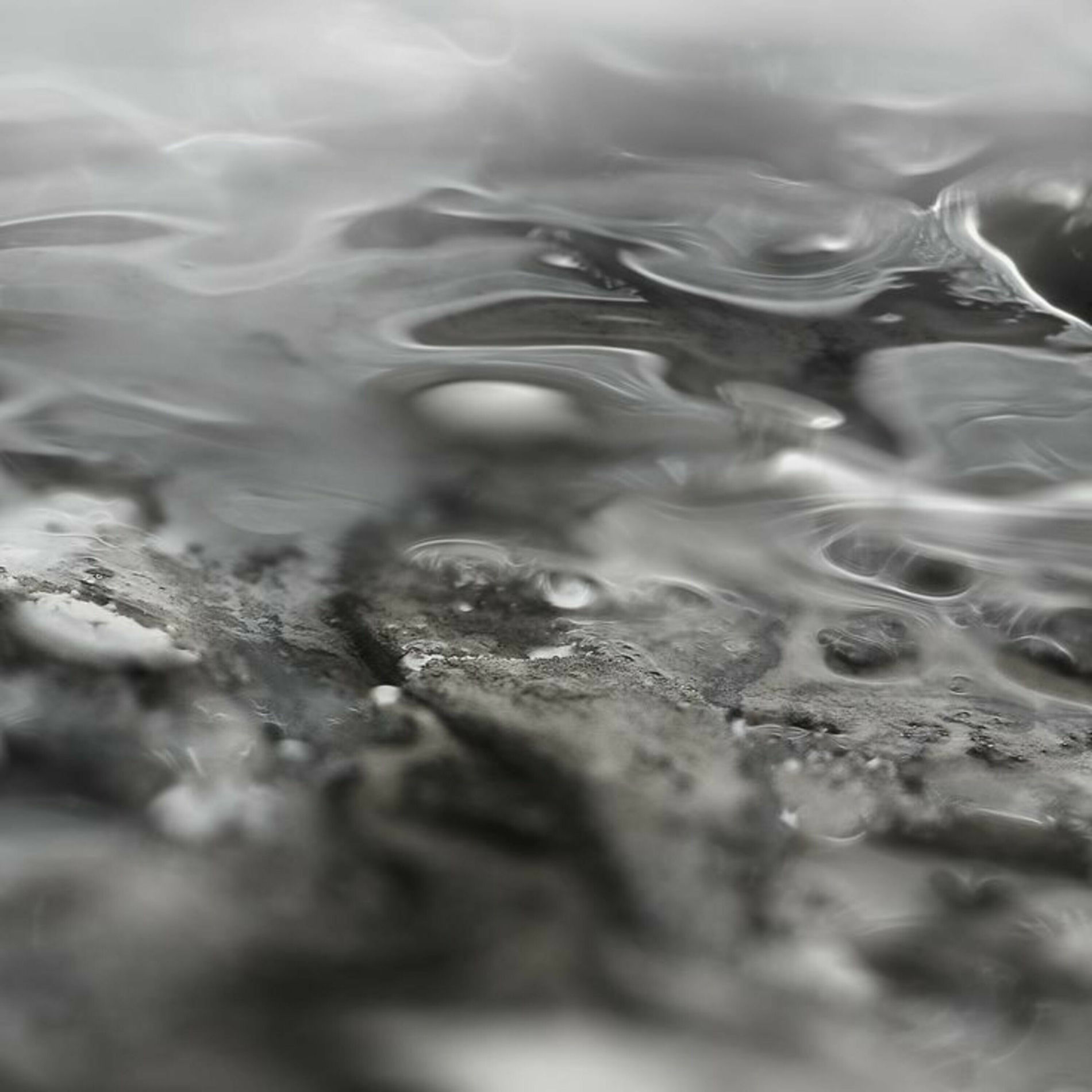 Artist picture of Remorse