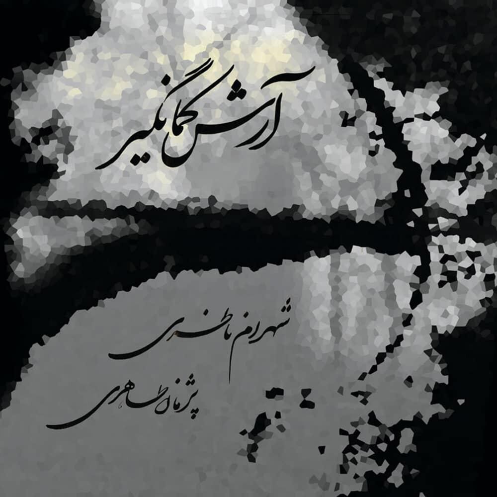 Picture of Pejman Taheri