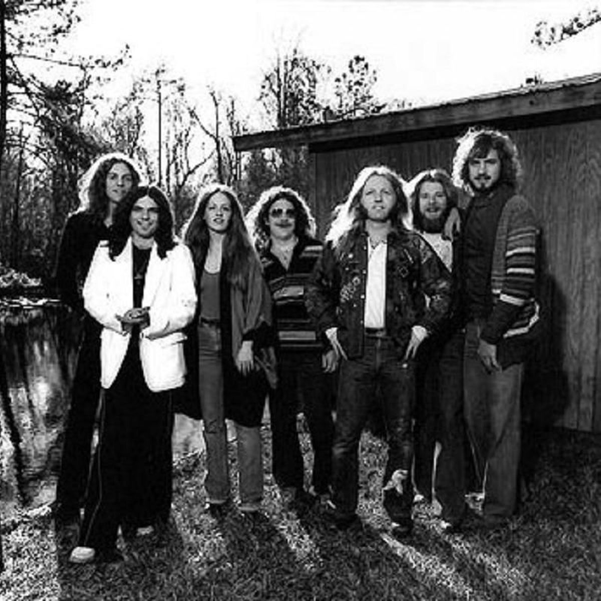 Artist picture of Rossington Collins Band