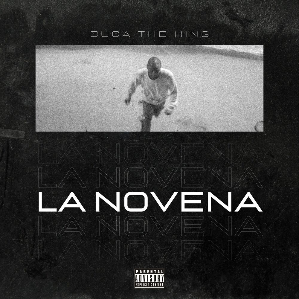 Picture of Buca The King