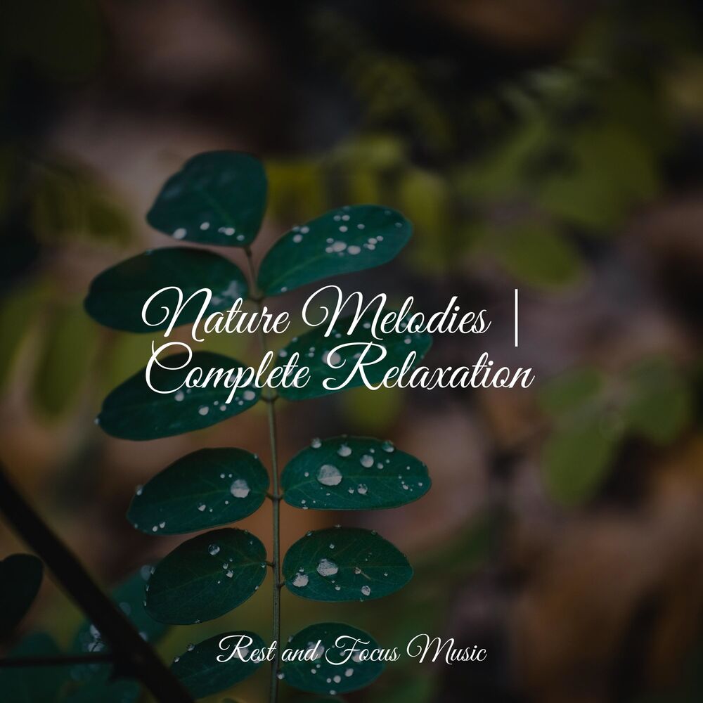 Picture of Relaxing Nature Music