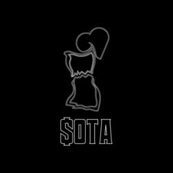 Picture of SOTA