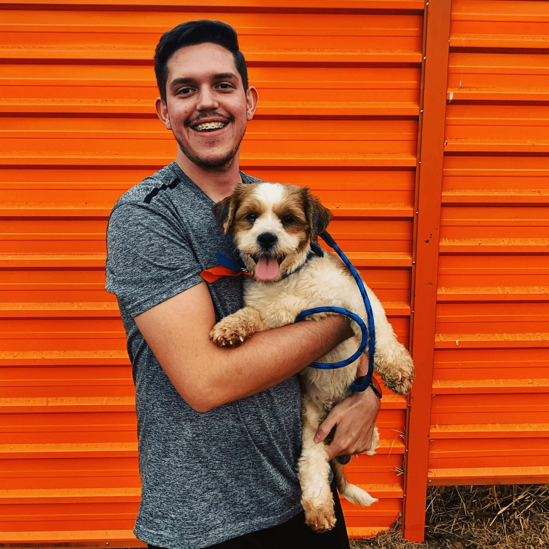 Artist picture of Músicas Para Cachorros
