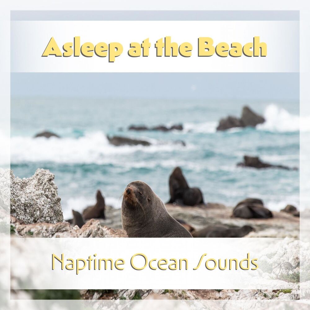 Picture of Ocean Waves for Meditation