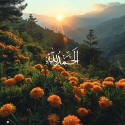 Picture of Anasheed