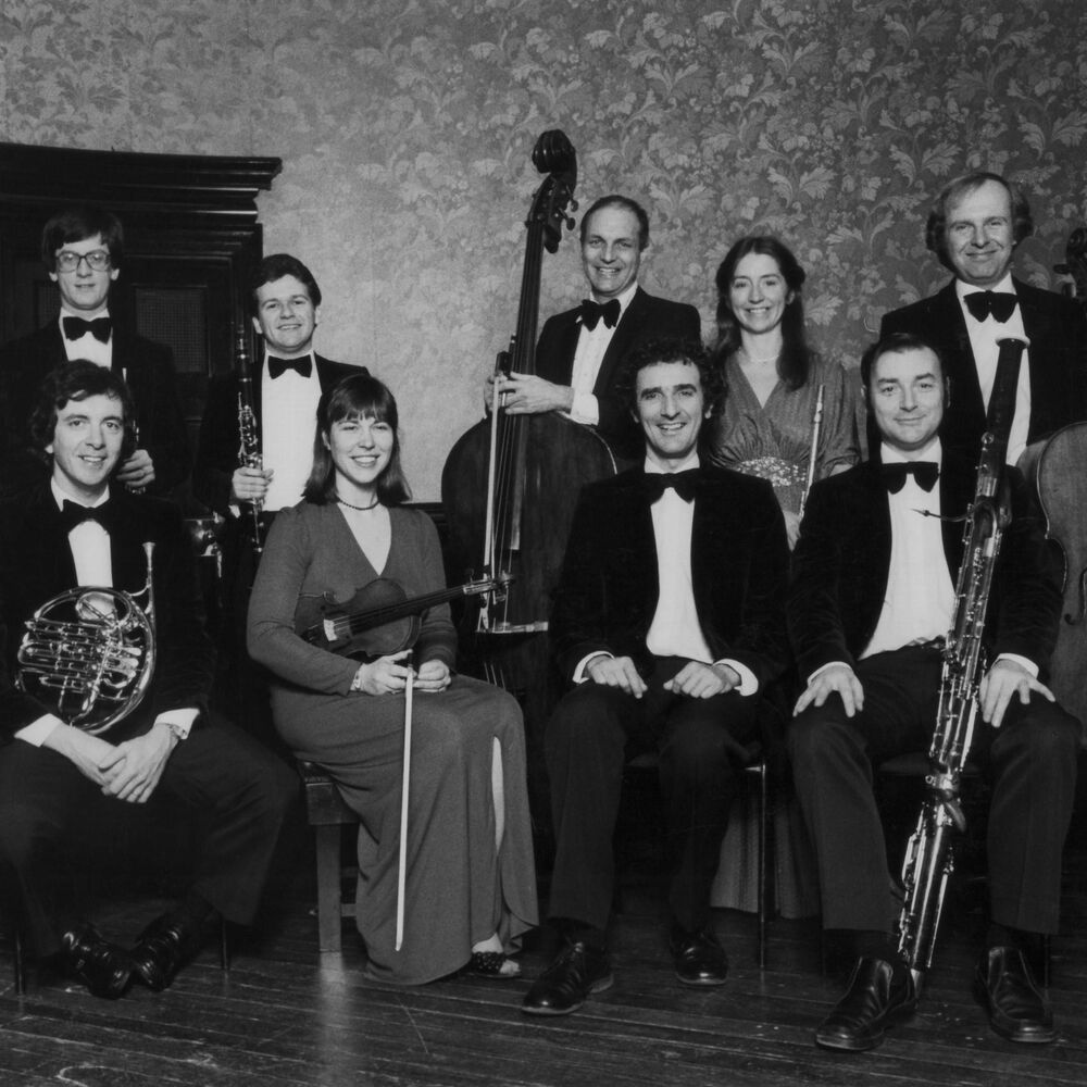 Picture of The Nash Ensemble