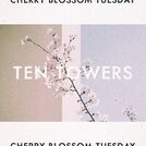 Ten Towers