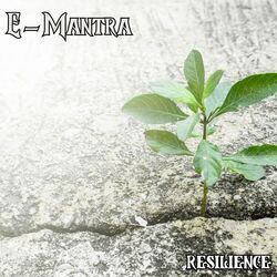 Picture of E-Mantra