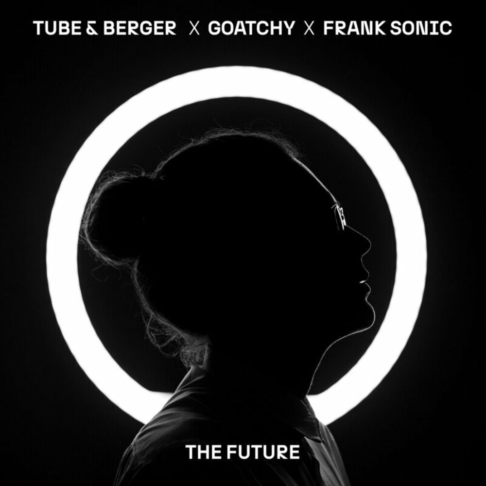 Picture of Frank Sonic