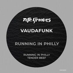 Picture of Vaudafunk