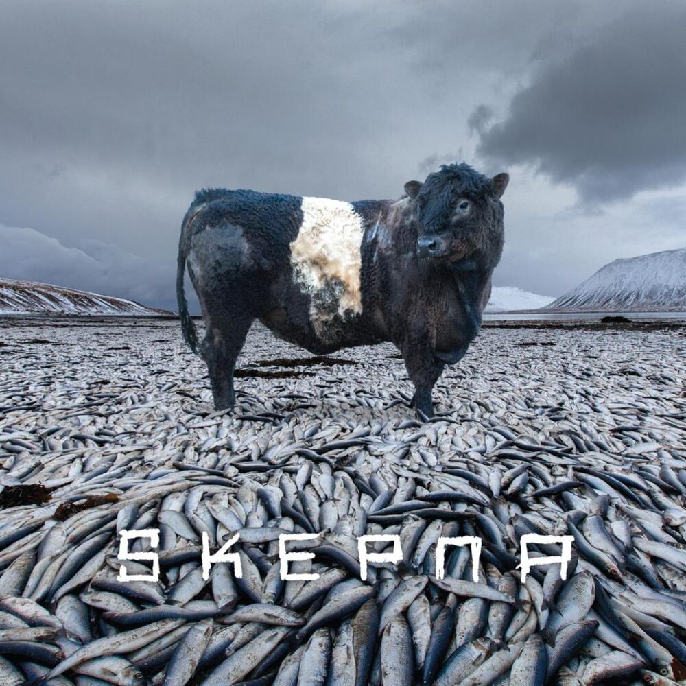 Picture of Skepna