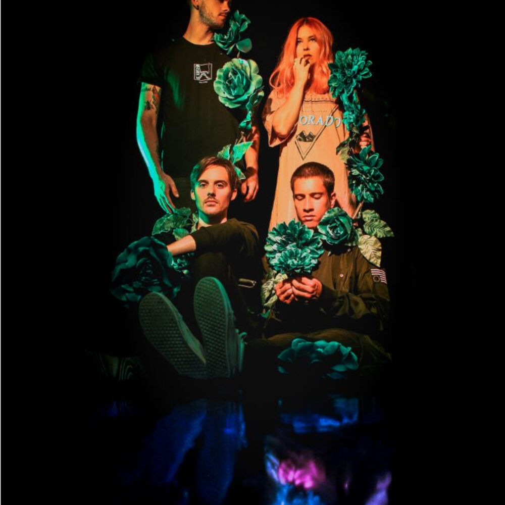 Picture of Transviolet