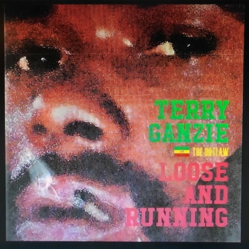 レア盤!!! TERRY GANZIE / WELCOME THE OUTLAW Terry Ganzie - Welcome The Outlaw - Jammy's 12