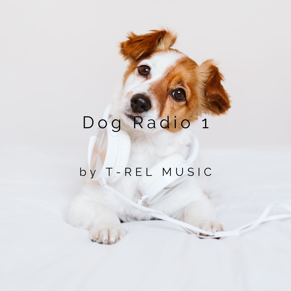 Picture of Dog Radio 1
