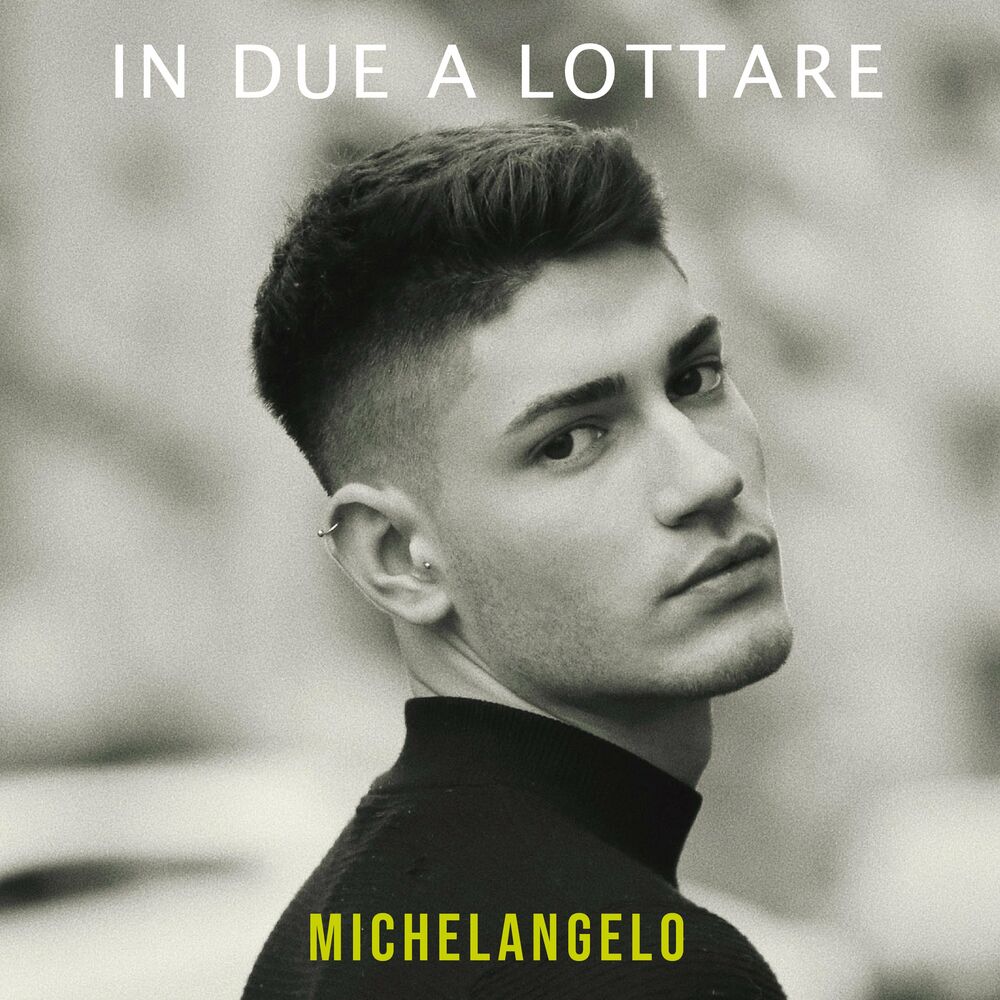 Picture of Michelangelo