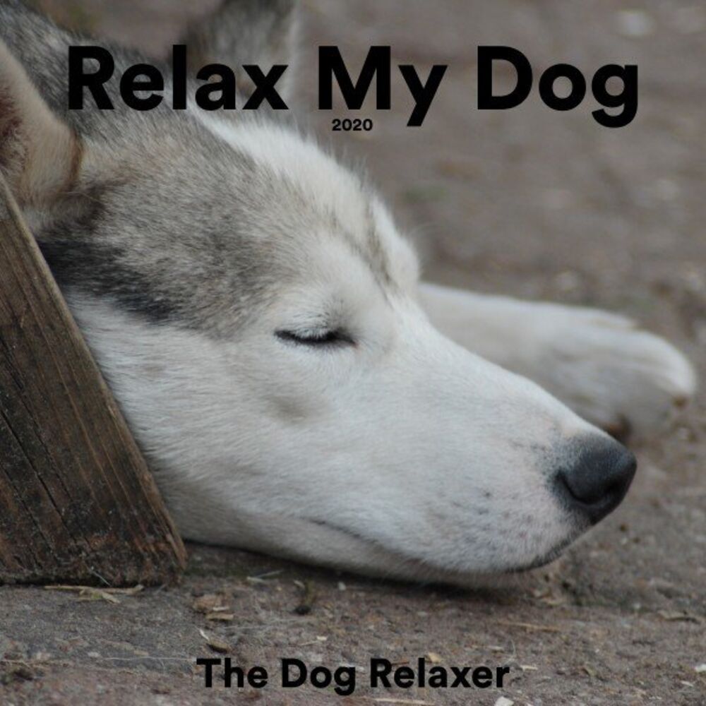 Picture of The Dog Relaxer
