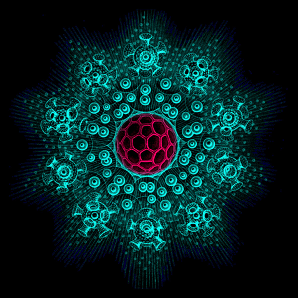 Dark Star
