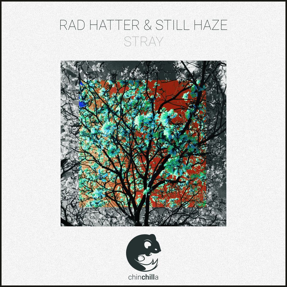 Picture of Rad Hatter