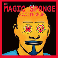 The Magic Sponge