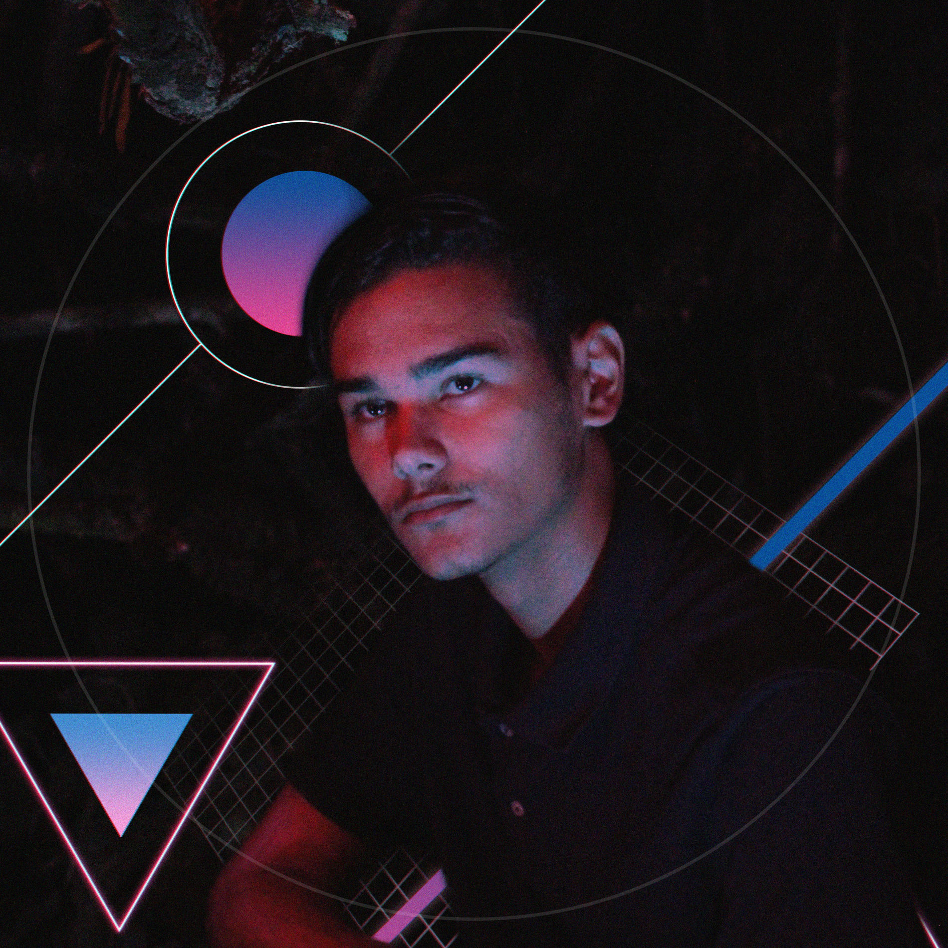 Artist picture of Violante