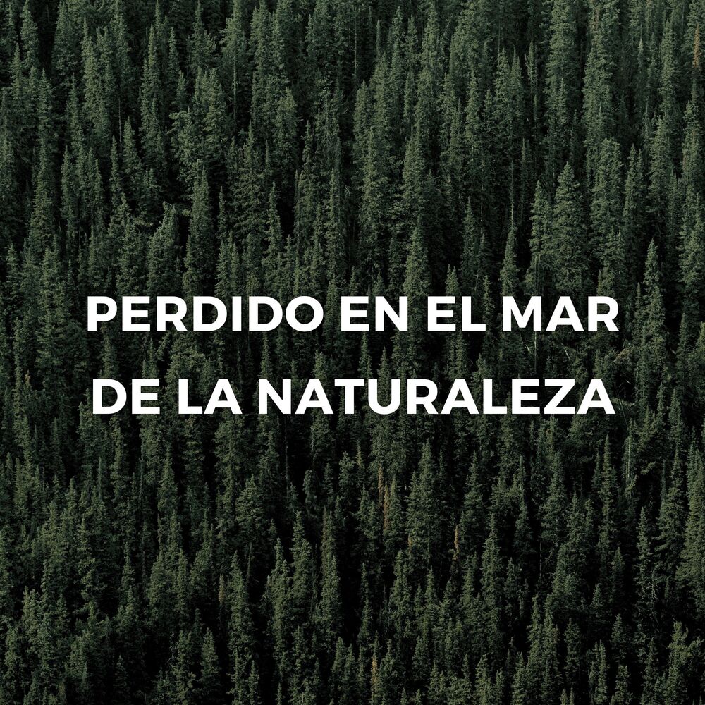 Picture of Resplandor de la naturaleza