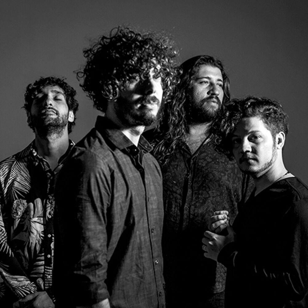 Picture of Selvagens à Procura de Lei