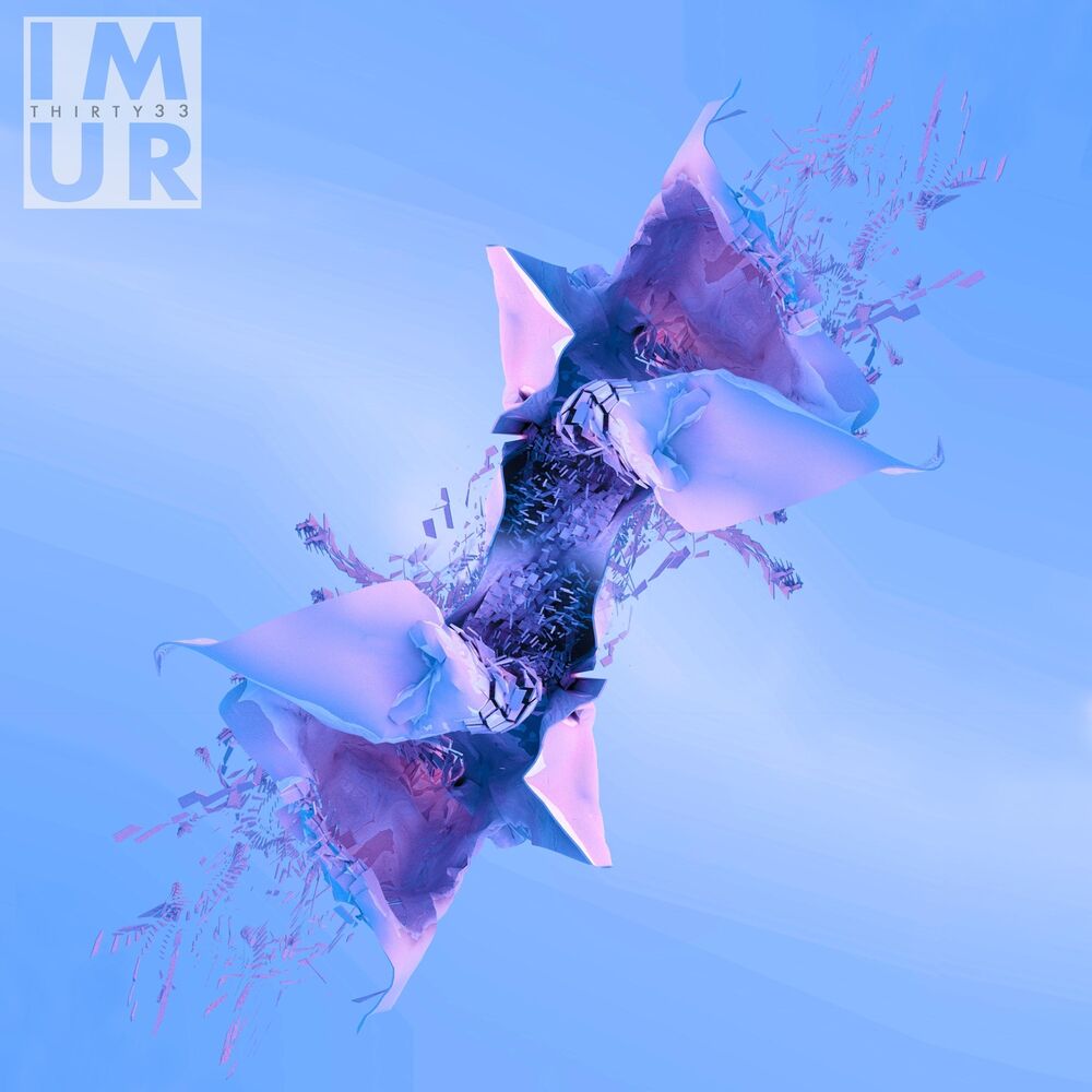 Picture of I M U R