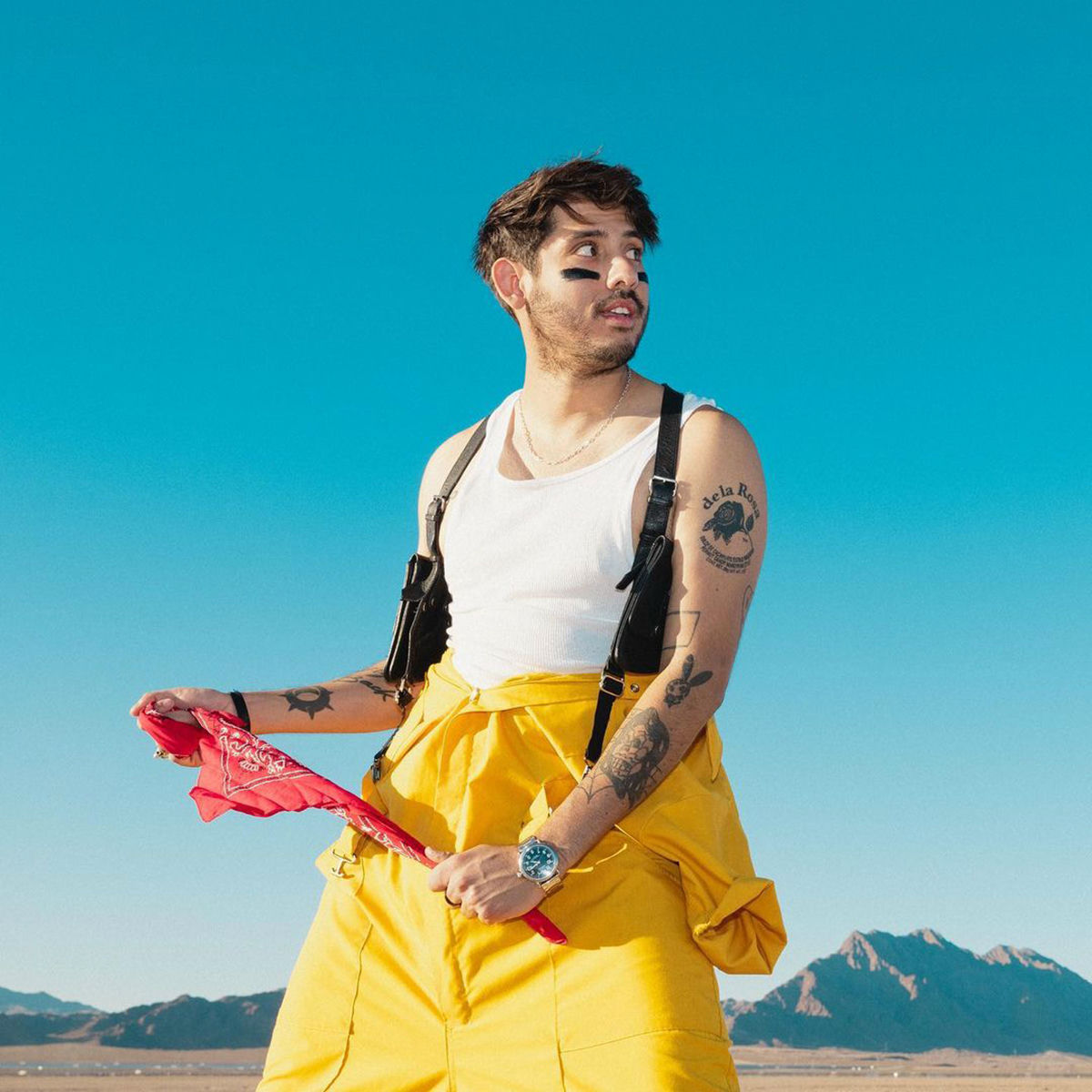 Artist picture of ookay