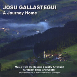 Picture of Josu Gallastegui