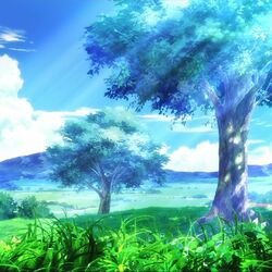 Picture of Senses