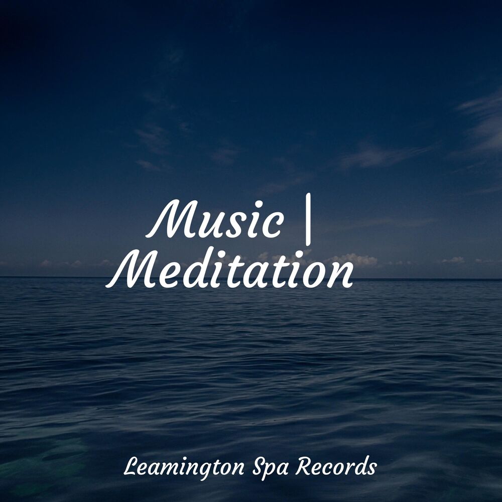 Picture of Tranquil Music Sounds of Nature