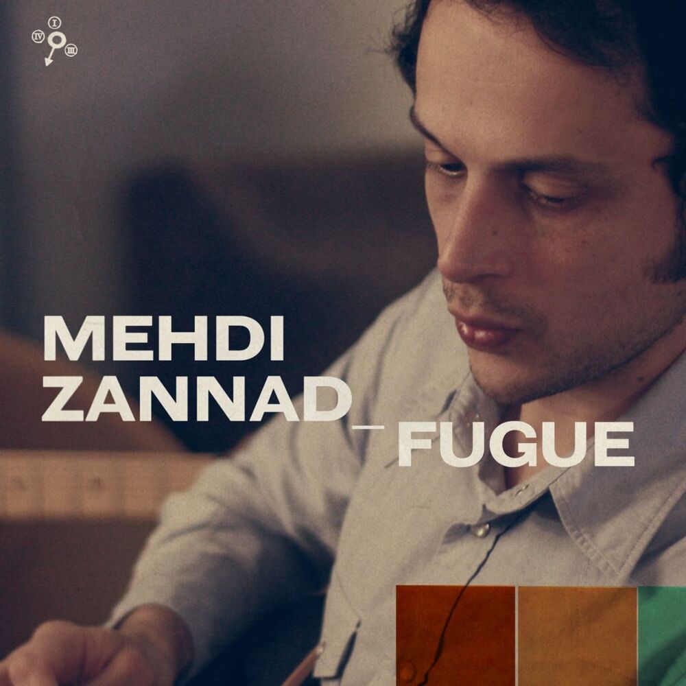 Picture of Mehdi Zannad