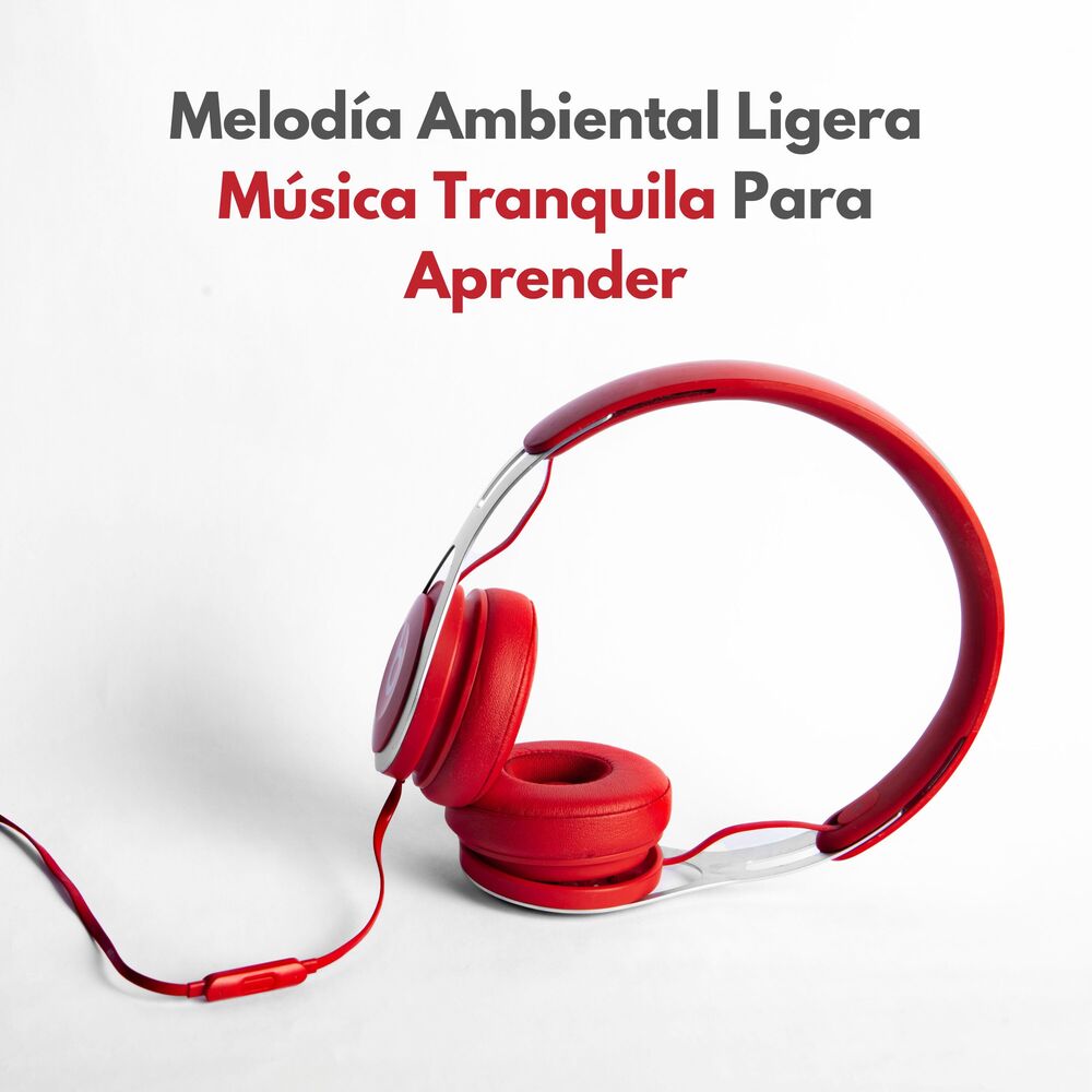 Picture of Leyendas de la música de estudio