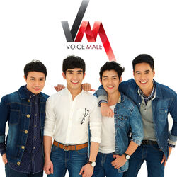 Picture of Voice Male