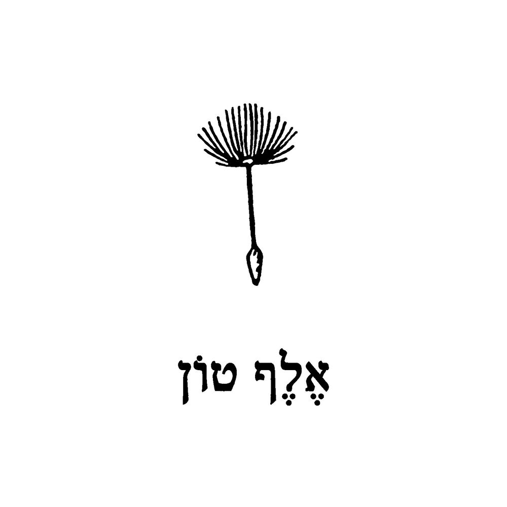 בריל