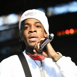 Picture of Thouxanbanfauni