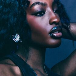 Picture of Ebony