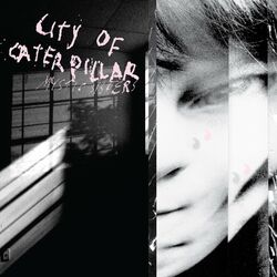 Picture of City of Caterpillar